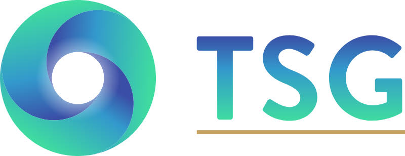 TSG Group Saradise client